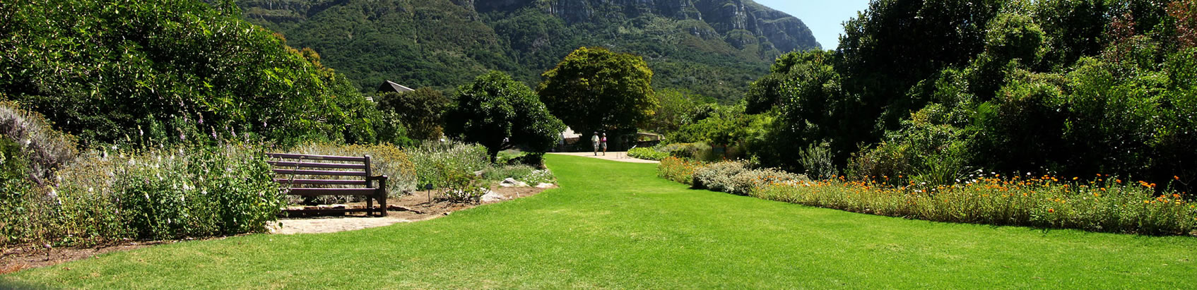 Sacred Mountain Lodge accommodation cottages