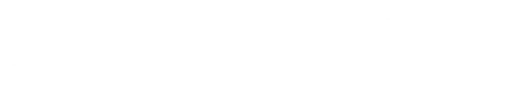 Bottomline IT logo