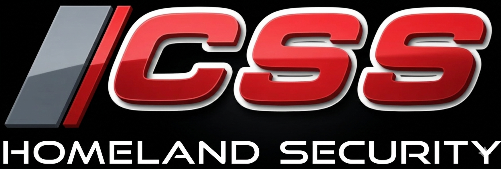 CSS Security Services logo