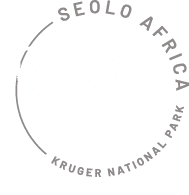 Rhino Post Safari Lodge logo